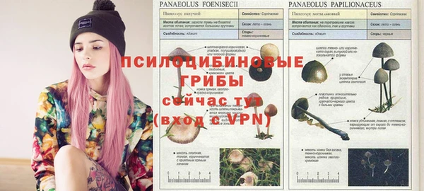 хмурый Верхний Тагил