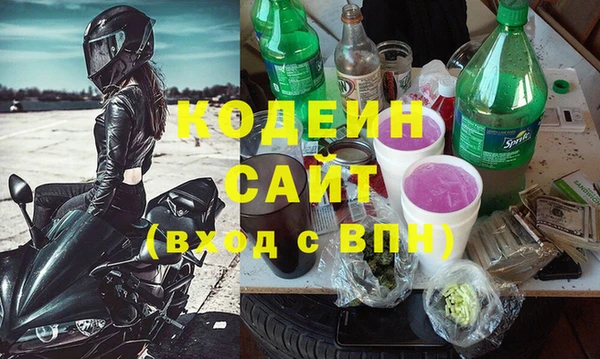 СК Пересвет