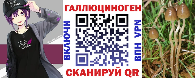 Галлюциногенные грибы GOLDEN TEACHER  даркнет сайт  Верхняя Салда 